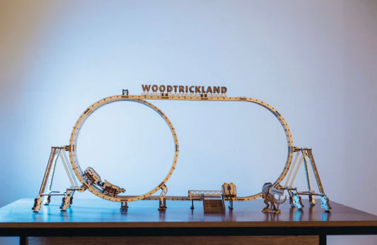 Puzzle electric 3D, Roller Coaster, Wood Trick, 554 piese, Cadou pentru tineri